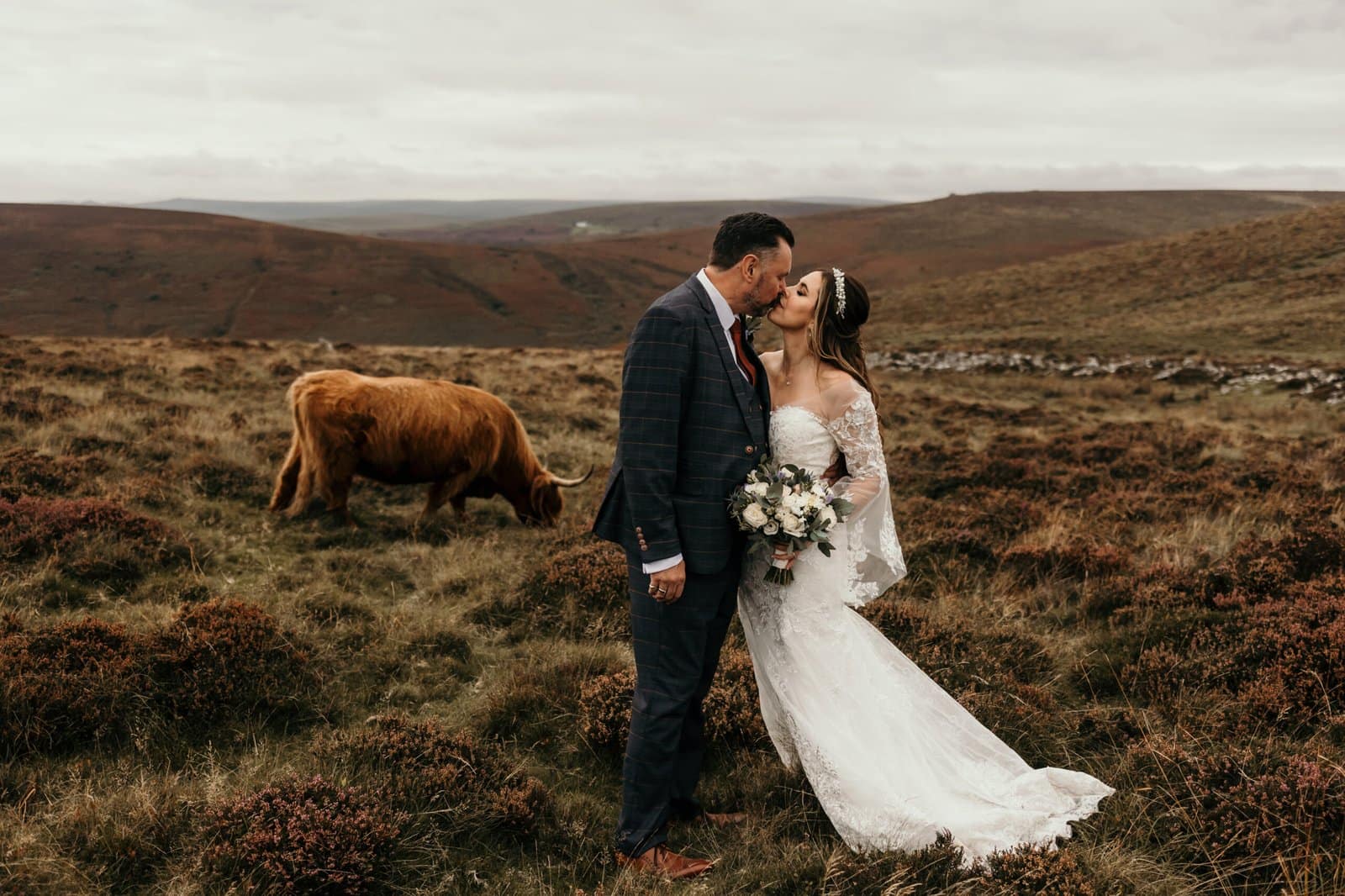couple and highland cow